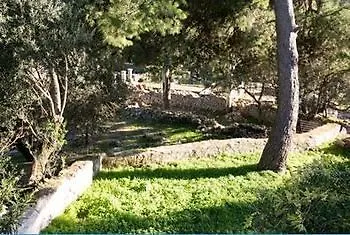 Eleni Κοθρέας