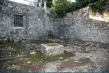 Eleni Κοθρέας